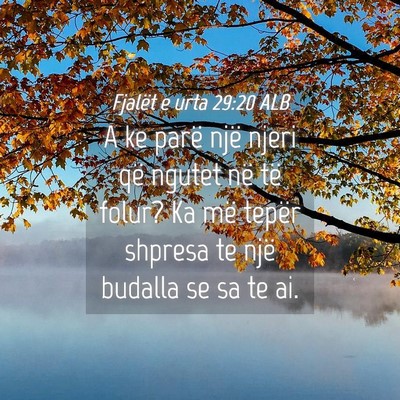 Picture 04 - Fjalët e urta 29:20 ALB - A ke parë një njeri që ngutet në të folur? - Bible Verse Picture