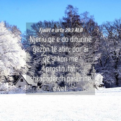 Picture 04 - Fjalët e urta 29:3 ALB - Njeriu që e do diturinë gëzon të atin; por ai - Bible Verse Picture