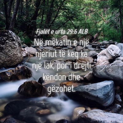 Picture 04 - Fjalët e urta 29:6 ALB - Në mëkatin e një njeriut të keq ka një lak, - Bible Verse Picture