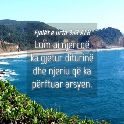 Picture 04 - Fjalët e urta 3:13 ALB - Lum ai njeri që ka gjetur diturinë dhe njeriu - Bible Verse Picture