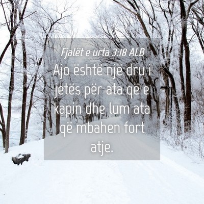 Picture 04 - Fjalët e urta 3:18 ALB - Ajo është një dru i jetës për ata që e - Bible Verse Picture