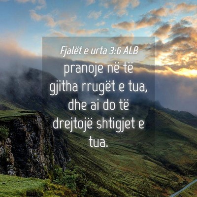 Picture 04 - Fjalët e urta 3:6 ALB - pranoje në të gjitha rrugët e tua, dhe ai do - Bible Verse Picture