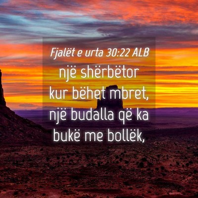 Picture 04 - Fjalët e urta 30:22 ALB - një shërbëtor kur bëhet mbret, një budalla - Bible Verse Picture