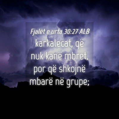 Picture 04 - Fjalët e urta 30:27 ALB - karkalecat, që nuk kanë mbret, por që shkojnë - Bible Verse Picture