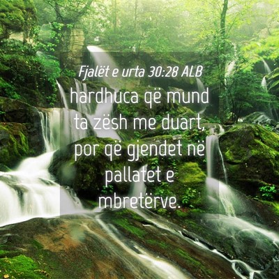 Picture 04 - Fjalët e urta 30:28 ALB - hardhuca që mund ta zësh me duart, por që - Bible Verse Picture