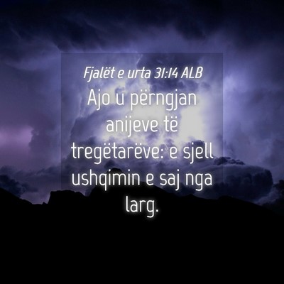 Picture 04 - Fjalët e urta 31:14 ALB - Ajo u përngjan anijeve të tregëtarëve: e - Bible Verse Picture