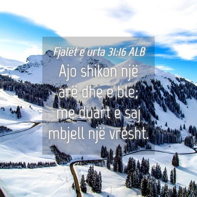 Picture 04 - Fjalët e urta 31:16 ALB - Ajo shikon një arë dhe e ble; me duart e saj - Bible Verse Picture