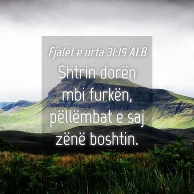 Picture 04 - Fjalët e urta 31:19 ALB - Shtrin dorën mbi furkën, pëllëmbat e saj - Bible Verse Picture