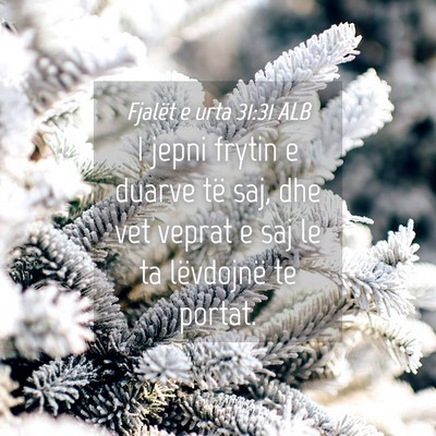 Picture 04 - Fjalët e urta 31:31 ALB - I jepni frytin e duarve të saj, dhe vet veprat e - Bible Verse Picture