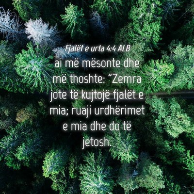 Picture 04 - Fjalët e urta 4:4 ALB - ai më mësonte dhe më thoshte: 