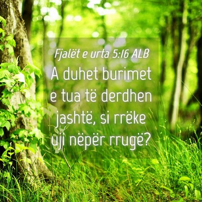 Picture 04 - Fjalët e urta 5:16 ALB - A duhet burimet e tua të derdhen jashtë, si - Bible Verse Picture