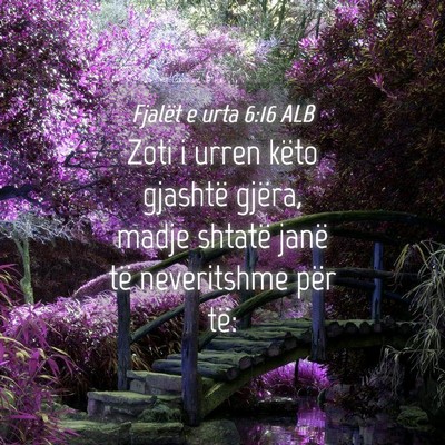 Picture 04 - Fjalët e urta 6:16 ALB - Zoti i urren këto gjashtë gjëra, madje shtatë - Bible Verse Picture