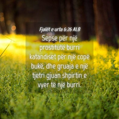Picture 04 - Fjalët e urta 6:26 ALB - Sepse për një prostitutë burri katandiset për - Bible Verse Picture