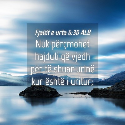 Picture 04 - Fjalët e urta 6:30 ALB - Nuk përçmohet hajduti që vjedh për të shuar - Bible Verse Picture