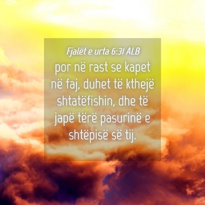 Picture 04 - Fjalët e urta 6:31 ALB - por në rast se kapet në faj, duhet të kthejë - Bible Verse Picture