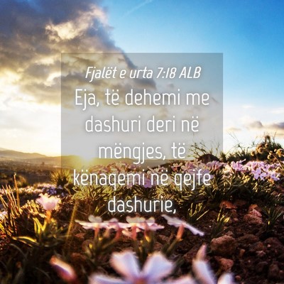Picture 04 - Fjalët e urta 7:18 ALB - Eja, të dehemi me dashuri deri në mëngjes, të - Bible Verse Picture