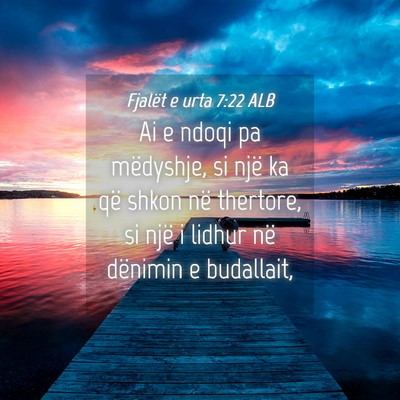 Picture 04 - Fjalët e urta 7:22 ALB - Ai e ndoqi pa mëdyshje, si një ka që shkon në - Bible Verse Picture