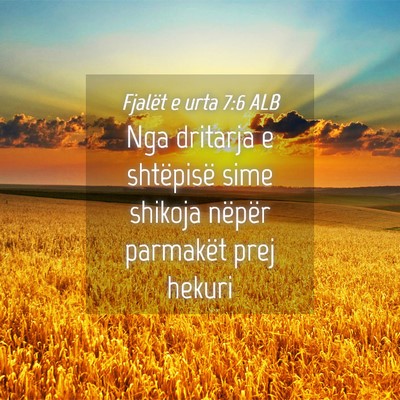 Picture 04 - Fjalët e urta 7:6 ALB - Nga dritarja e shtëpisë sime shikoja nëpër - Bible Verse Picture