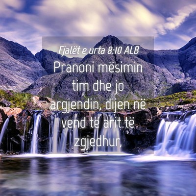 Picture 04 - Fjalët e urta 8:10 ALB - Pranoni mësimin tim dhe jo argjendin, dijen në - Bible Verse Picture