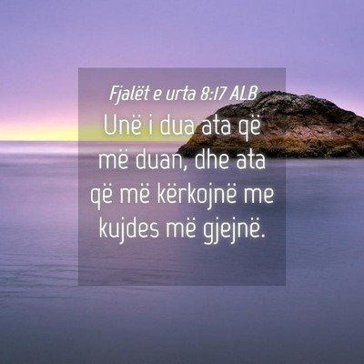 Picture 04 - Fjalët e urta 8:17 ALB - Unë i dua ata që më duan, dhe ata që më - Bible Verse Picture