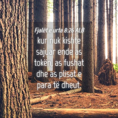 Picture 04 - Fjalët e urta 8:26 ALB - kur nuk kishte sajuar ende as tokën, as fushat - Bible Verse Picture