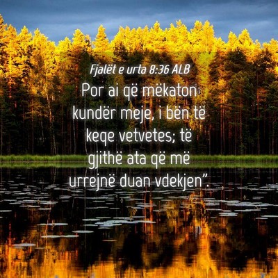 Picture 04 - Fjalët e urta 8:36 ALB - Por ai që mëkaton kundër meje, i bën të keqe - Bible Verse Picture