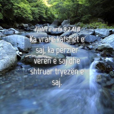 Picture 04 - Fjalët e urta 9:2 ALB - Ka vrarë kafshët e saj, ka përzier verën e - Bible Verse Picture