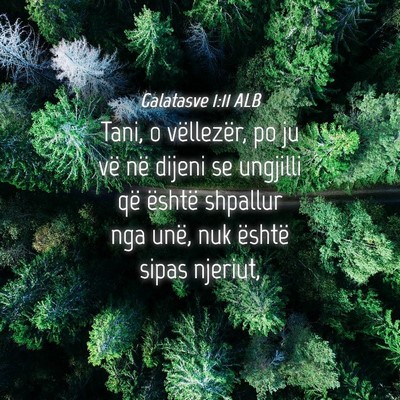 Picture 04 - Galatasve 1:11 ALB - Tani, o vëllezër, po ju vë në dijeni se - Bible Verse Picture
