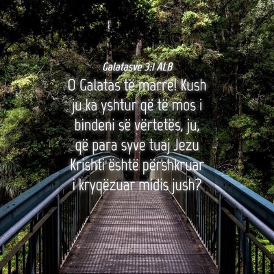 Picture 04 - Galatasve 3:1 ALB - O Galatas të marrë! Kush ju ka yshtur që të - Bible Verse Picture