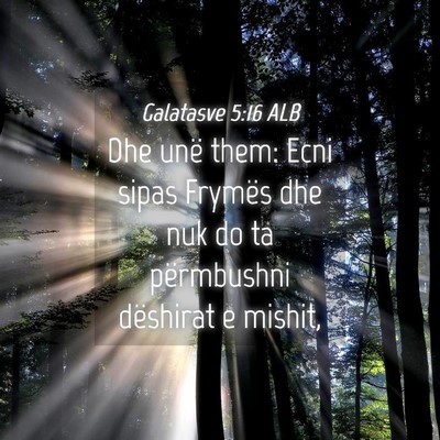 Picture 04 - Galatasve 5:16 ALB - Dhe unë them: Ecni sipas Frymës dhe nuk do ta - Bible Verse Picture