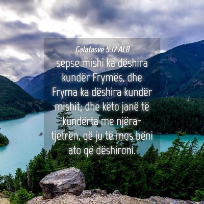 Picture 04 - Galatasve 5:17 ALB - sepse mishi ka dëshira kundër Frymës, dhe - Bible Verse Picture