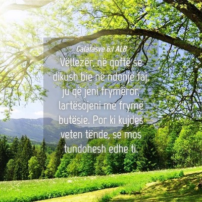 Picture 04 - Galatasve 6:1 ALB - Vëllezër, në qoftë se dikush bie në ndonjë - Bible Verse Picture
