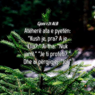 Picture 04 - Gjoni 1:21 ALB - Atëherë ata e pyetën: “Kush je, pra? A je - Bible Verse Picture