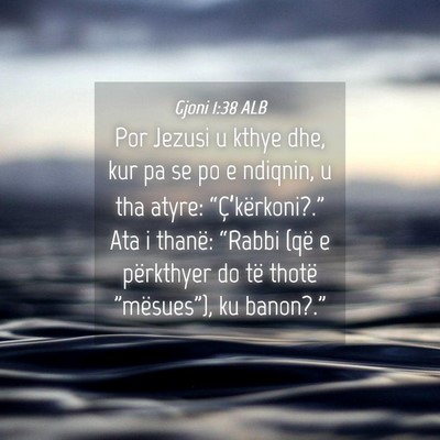 Picture 04 - Gjoni 1:38 ALB - Por Jezusi u kthye dhe, kur pa se po e ndiqnin, u - Bible Verse Picture