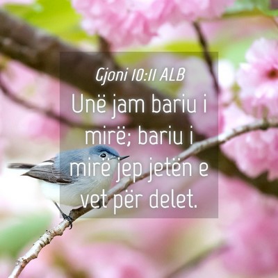 Picture 04 - Gjoni 10:11 ALB - Unë jam bariu i mirë; bariu i mirë jep jetën - Bible Verse Picture