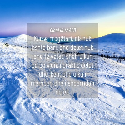 Picture 04 - Gjoni 10:12 ALB - Kurse rrogëtari, që nuk është bari, dhe delet - Bible Verse Picture