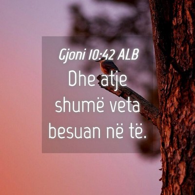 Picture 04 - Gjoni 10:42 ALB - Dhe atje shumë veta besuan në - Bible Verse Picture