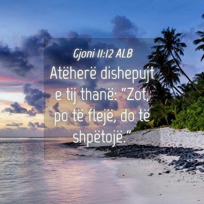 Picture 04 - Gjoni 11:12 ALB - Atëherë dishepujt e tij thanë: “Zot, po të - Bible Verse Picture