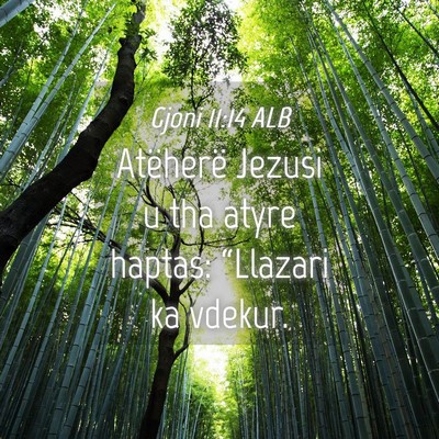 Picture 04 - Gjoni 11:14 ALB - Atëherë Jezusi u tha atyre haptas: “Llazari - Bible Verse Picture