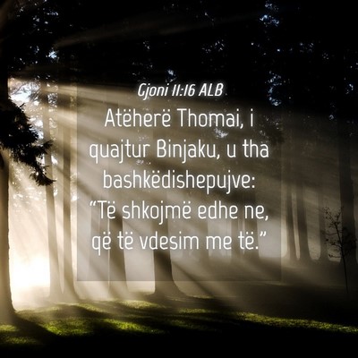 Picture 04 - Gjoni 11:16 ALB - Atëherë Thomai, i quajtur Binjaku, u tha - Bible Verse Picture