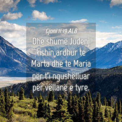 Picture 04 - Gjoni 11:19 ALB - Dhe shumë Judenj kishin ardhur te Marta dhe te - Bible Verse Picture