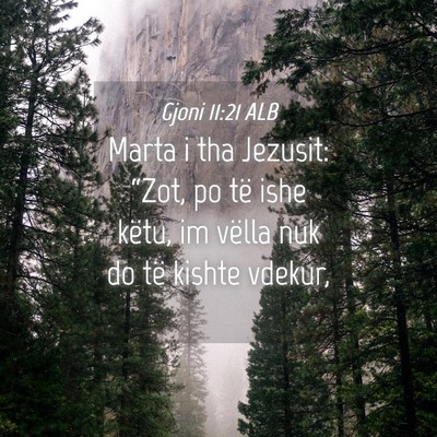 Picture 04 - Gjoni 11:21 ALB - Marta i tha Jezusit: “Zot, po të ishe këtu, - Bible Verse Picture