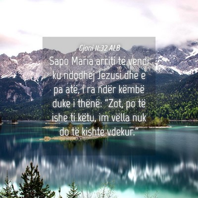 Picture 04 - Gjoni 11:32 ALB - Sapo Maria arriti te vendi ku ndodhej Jezusi dhe - Bible Verse Picture