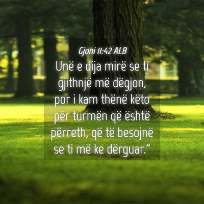 Picture 04 - Gjoni 11:42 ALB - Unë e dija mirë se ti gjithnjë më dëgjon, - Bible Verse Picture