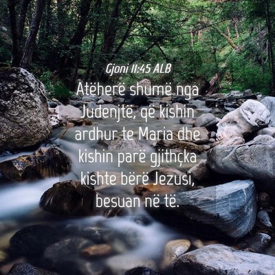 Picture 04 - Gjoni 11:45 ALB - Atëherë shumë nga Judenjtë, që kishin ardhur - Bible Verse Picture