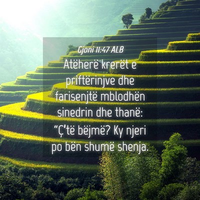 Picture 04 - Gjoni 11:47 ALB - Atëherë krerët e priftërinjve dhe farisenjtë - Bible Verse Picture