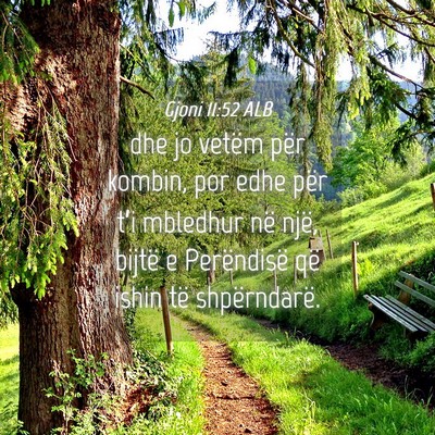 Picture 04 - Gjoni 11:52 ALB - dhe jo vetëm për kombin, por edhe për t’i - Bible Verse Picture