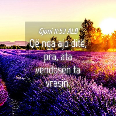 Picture 04 - Gjoni 11:53 ALB - Që nga ajo ditë, pra, ata vendosën ta - Bible Verse Picture