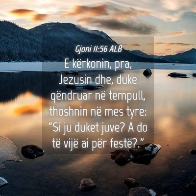 Picture 04 - Gjoni 11:56 ALB - E kërkonin, pra, Jezusin dhe, duke qëndruar në - Bible Verse Picture