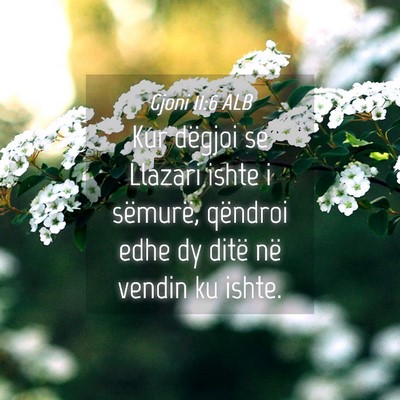 Picture 04 - Gjoni 11:6 ALB - Kur dëgjoi se Llazari ishte i sëmurë, qëndroi - Bible Verse Picture